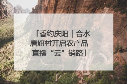 香约庆阳｜合水唐旗村开启农产品直播“云”销路